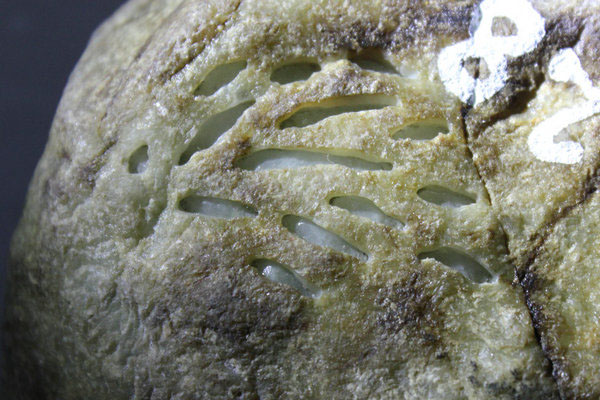  翡翠原石有哪些皮种 比较常见的翡翠原石皮壳有哪些